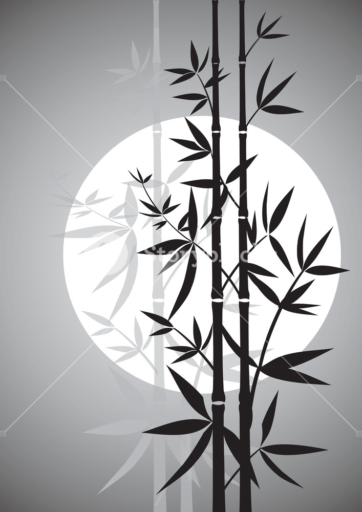 707x1000 Bamboo Vector Royalty Free Stock Image