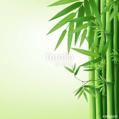 500x500 Bamboo Vector Illustration Stock Image And Royalty Free Vector