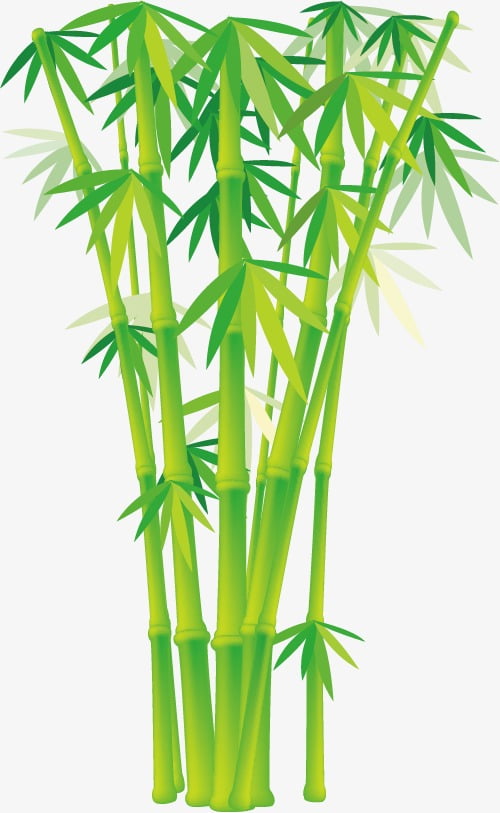 500x813 Cartoon Bamboo Vector Free Graphics Uihere