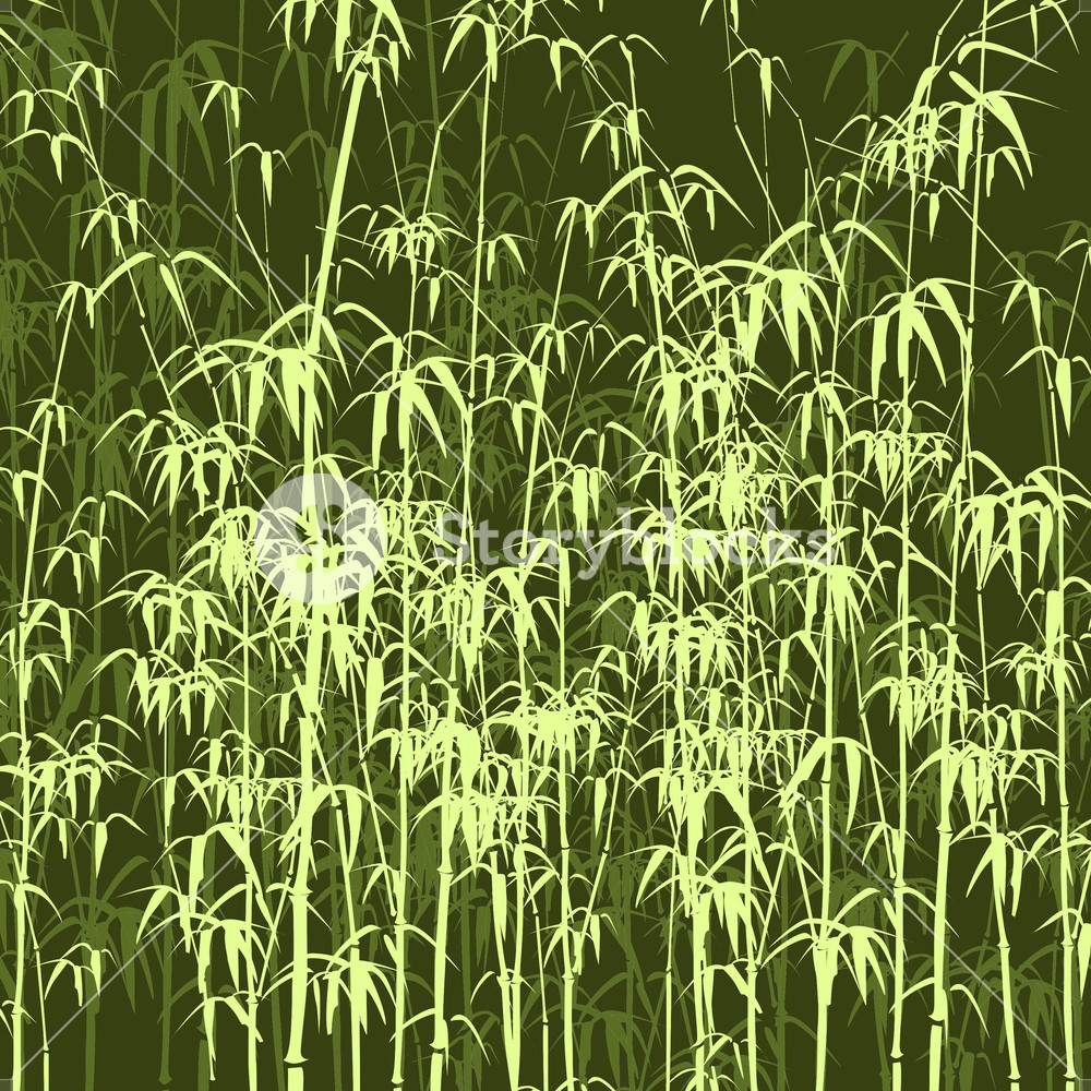 1000x1000 Background With Bamboo Vector Illustration Royalty Free Stock