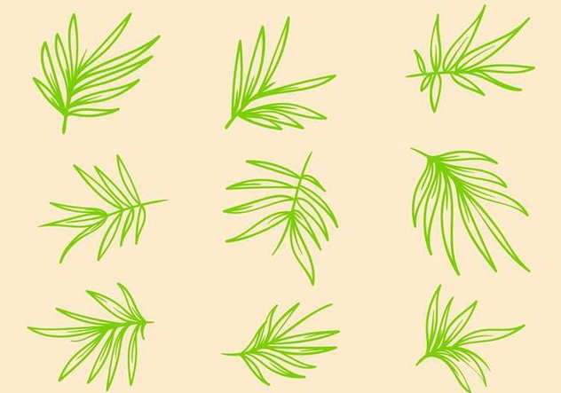 632x443 Free Bamboo Vector Free Vector Download Cannypic
