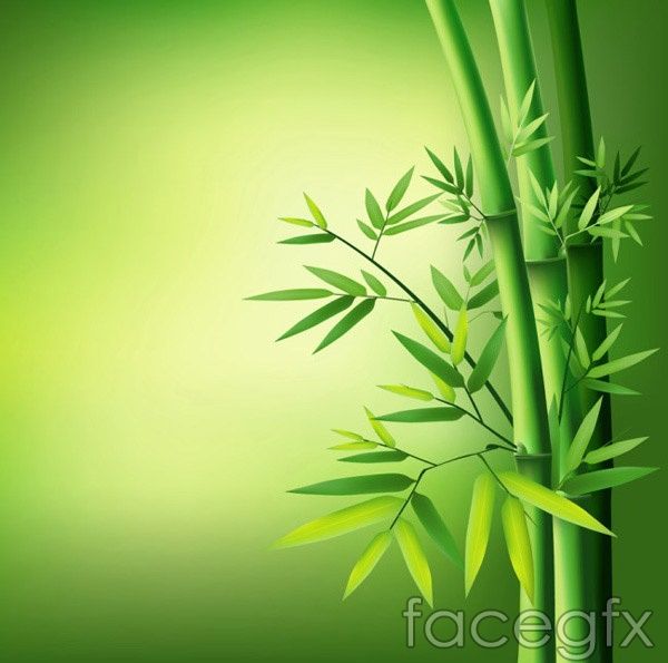 600x595 Green Leaves Of Bamboo Vector Graphics In Bamboo, Leaves