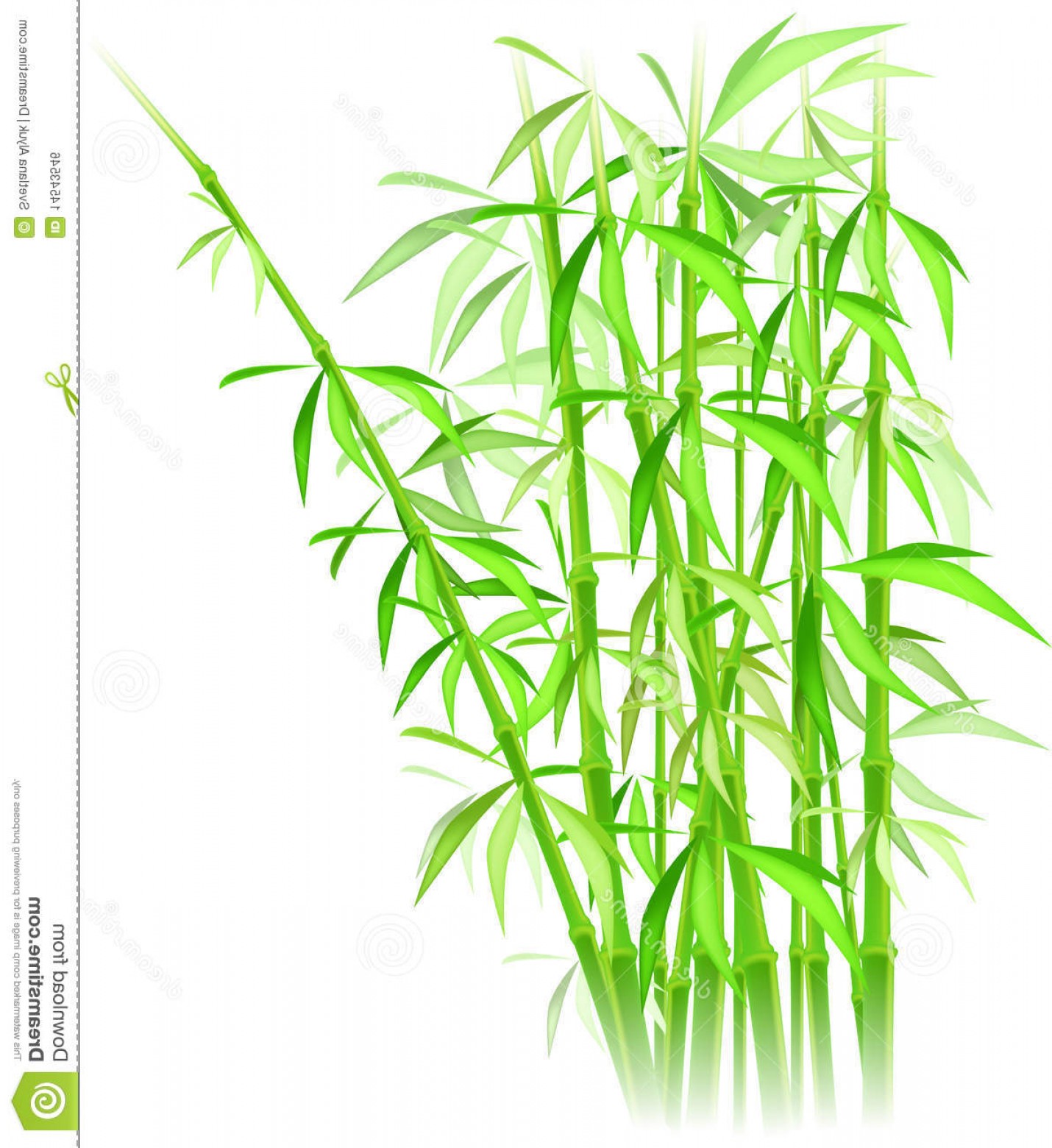 1430x1560 Royalty Free Stock Image Bamboo Vector Image Soidergi
