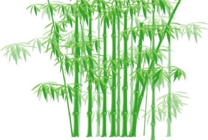 420x282 Shiny Green Bamboo Vector Free Download