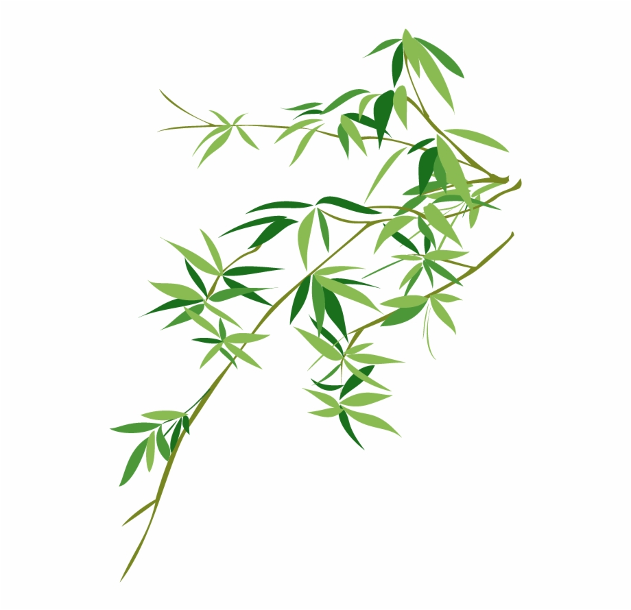 920x890 Vector Bamboo Bambusodae Painting Chinese Png Download