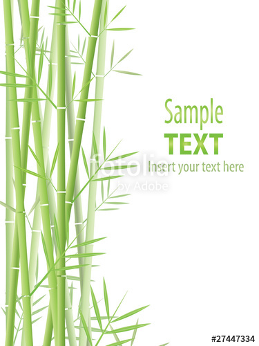 375x500 Bamboo Vector Background Stock Image And Royalty Free Vector