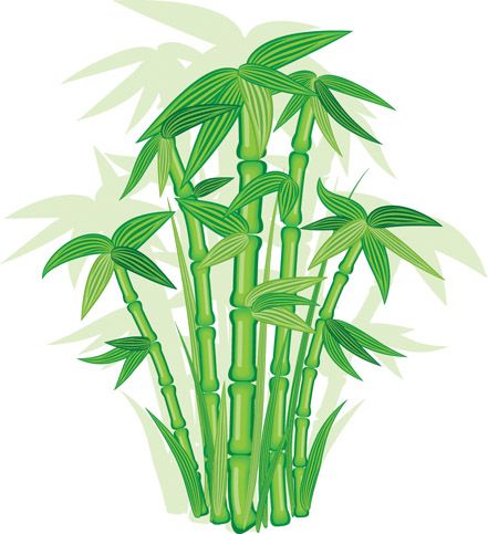 441x483 Free Vector Bamboo Vector Graphic Available For Free Download