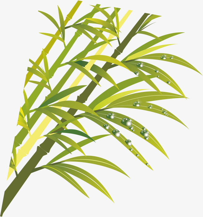 650x692 Bamboo Png Vector Element, Bamboo Vector, Bamboo, Vector Png