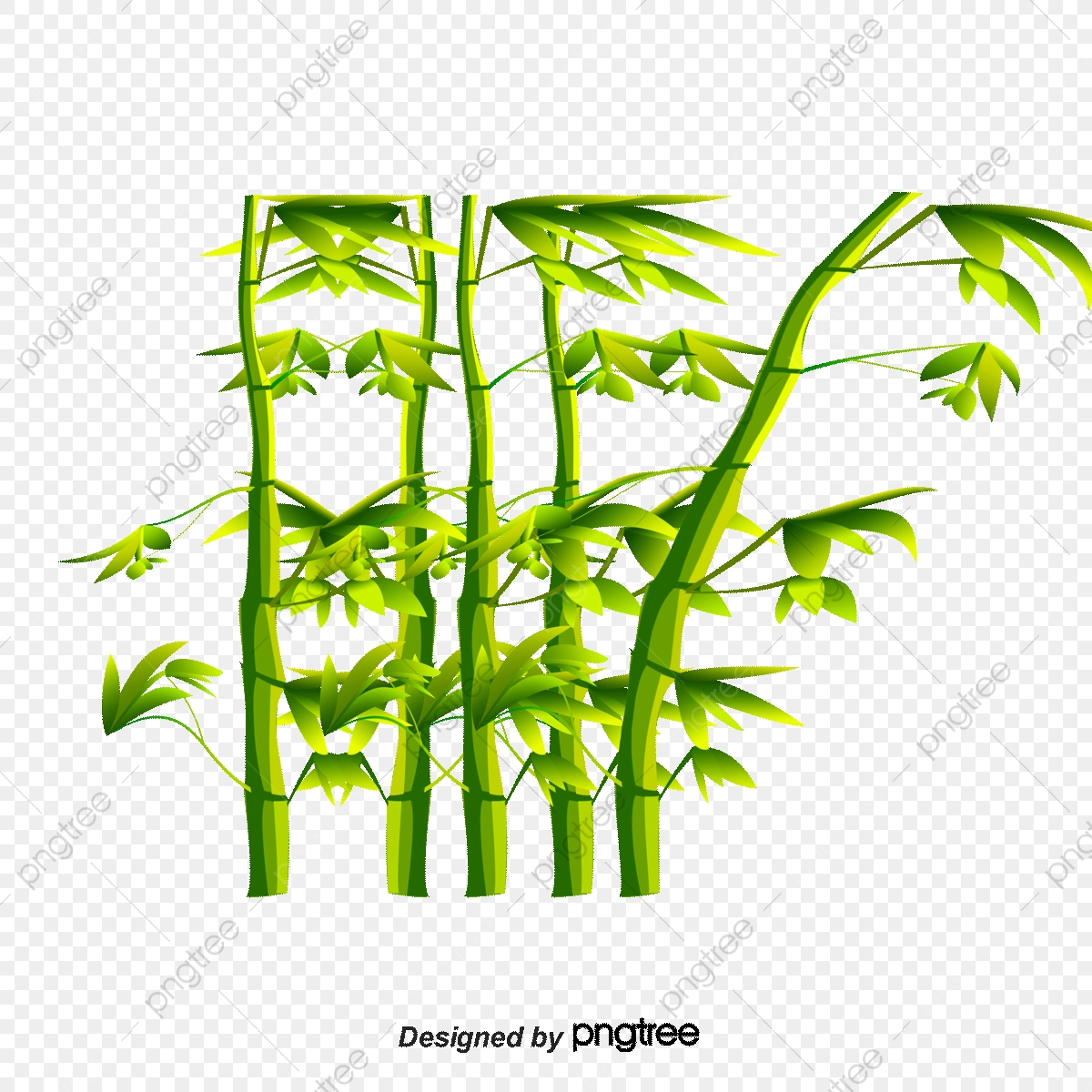 1200x1200 Bamboo Vector, Bamboo, Plant, Bamboo Forest Png And Vector
