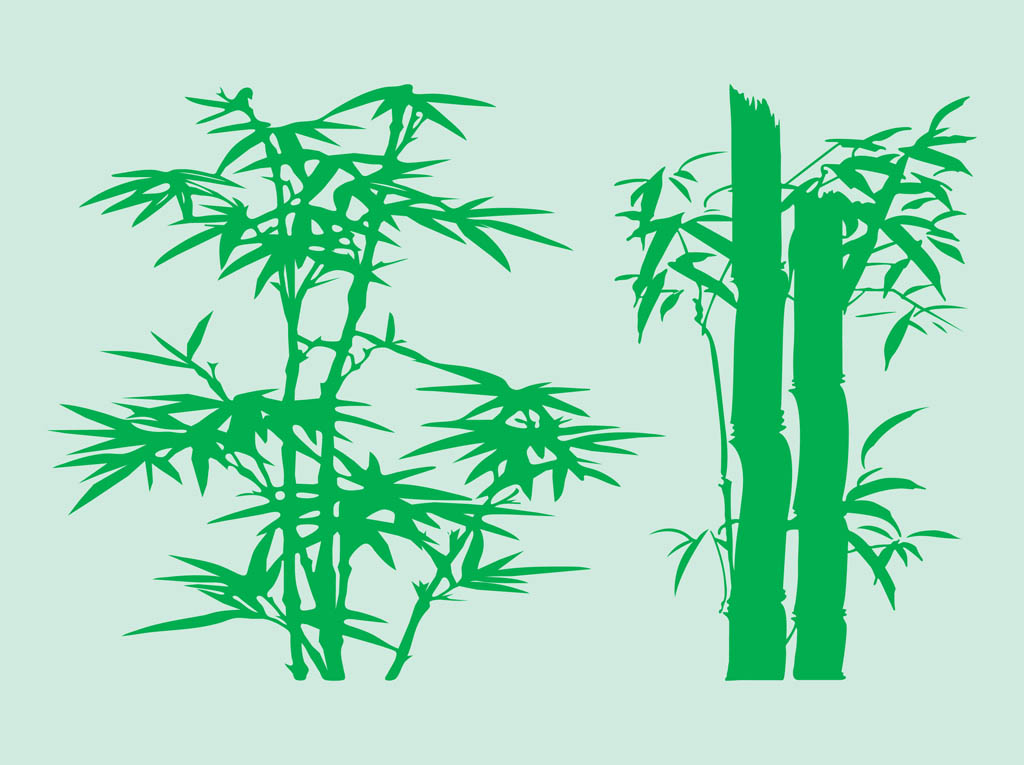 1024x765 Bamboo Vector Art Graphics