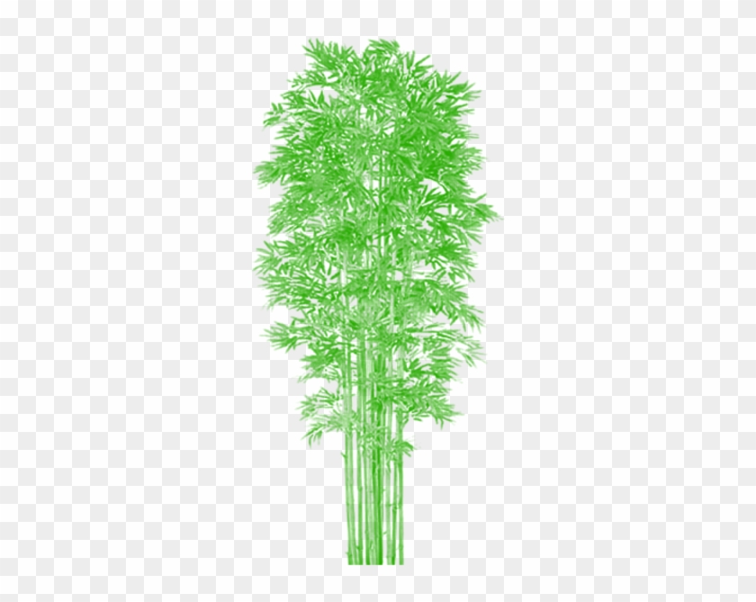 Bamboo Tree Clipart Vector Png, Tree Png Plan, Tree 840x669 Bamboo Tree Clipart Vector Png, Tree Png Plan, Tree