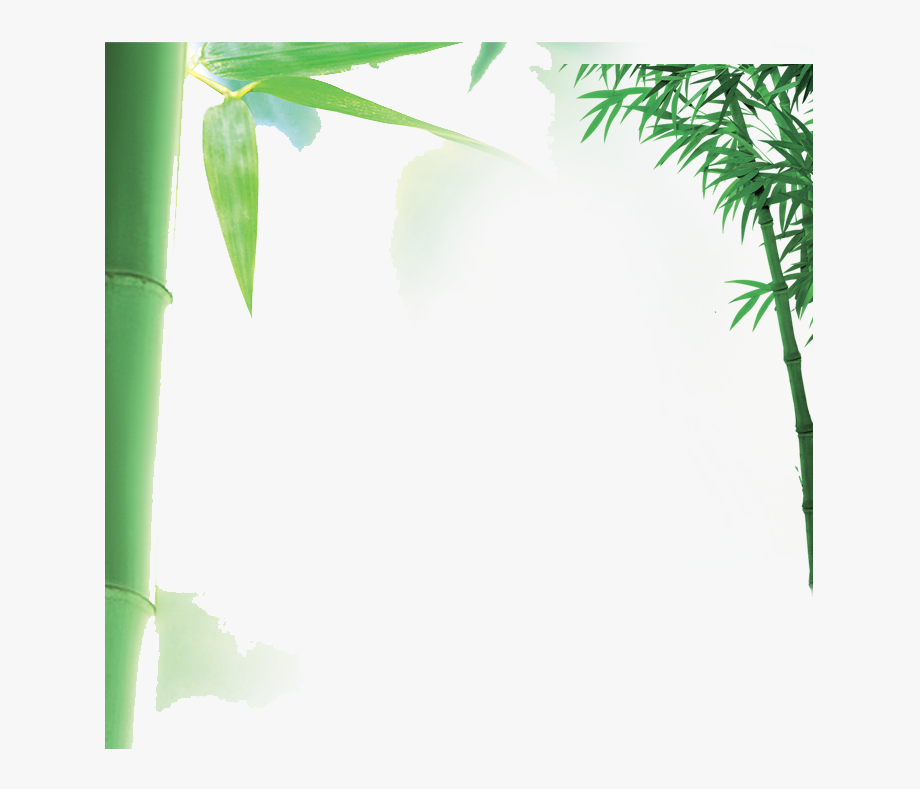 Bamboo Vector Border 920x789 Bamboo Vector Border
