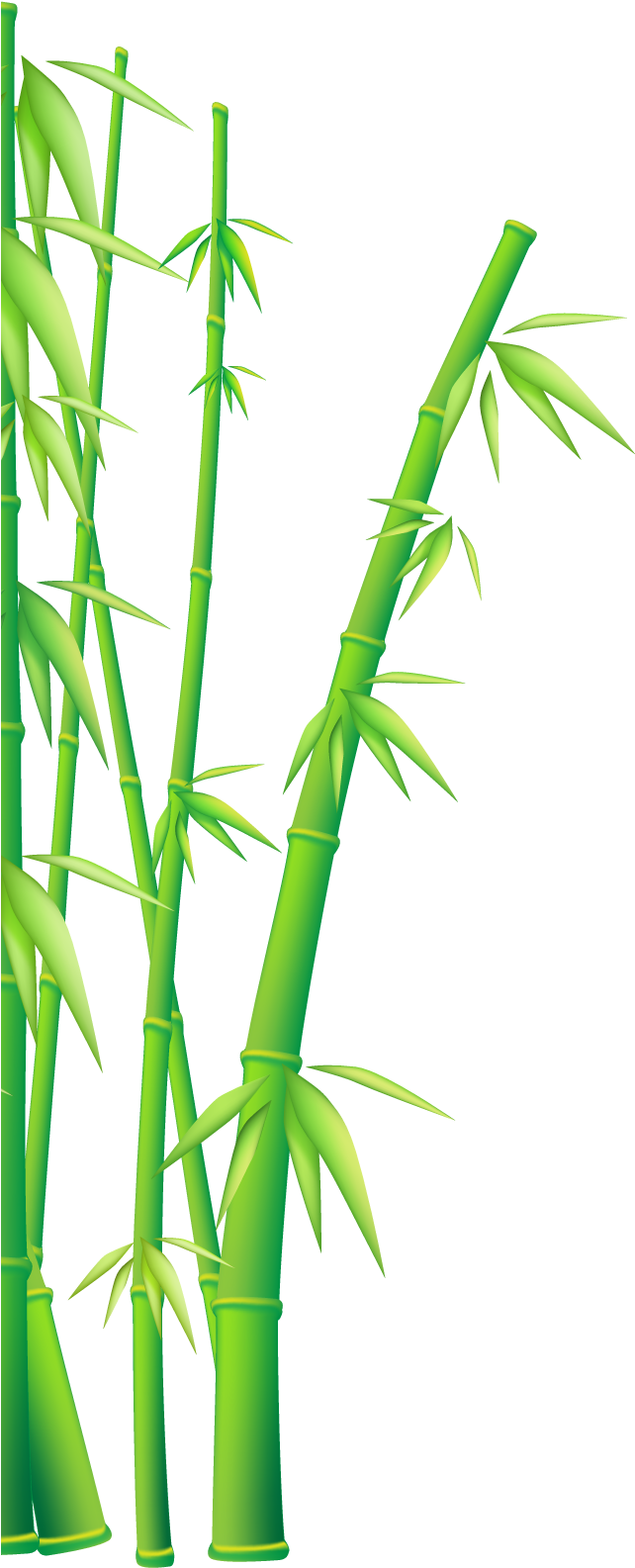 Bamboo Vector Png At Vectorified.com 