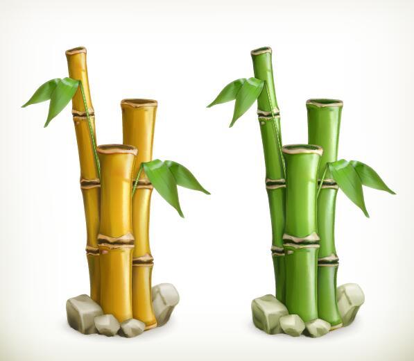 Bamboo Vector Illustration Free Download 597x520 Bamboo Vector Illustration Free Download