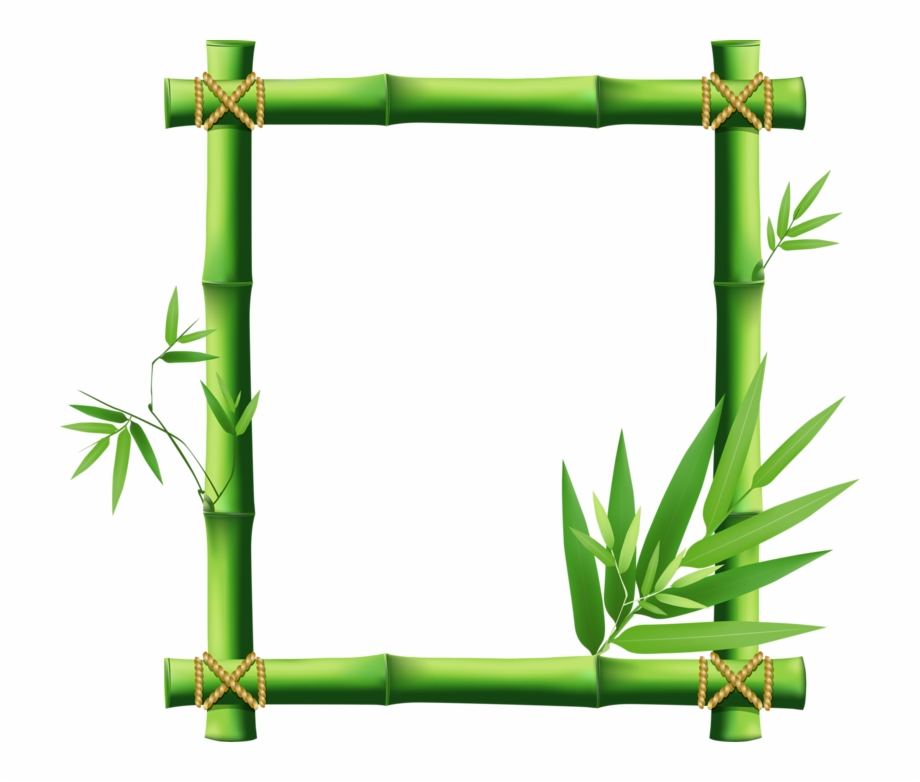 Bamboo Vector Png at Vectorified.com | Collection of Bamboo Vector Png ...