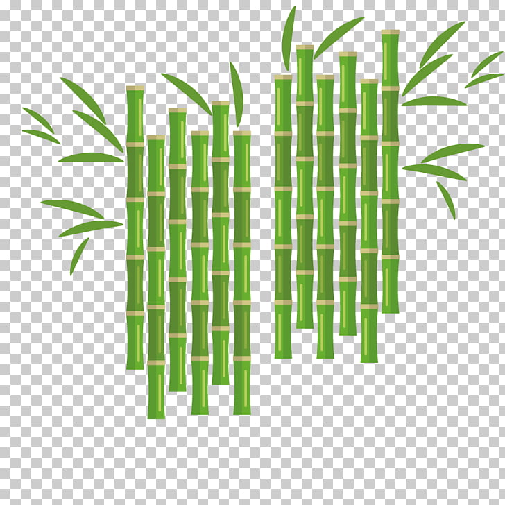 Euclidean Flower Bamboo, Bamboo Plant Png Clipart Free Cliparts 728x728 Euclidean Flower Bamboo, Bamboo Plant Png Clipart Free Cliparts