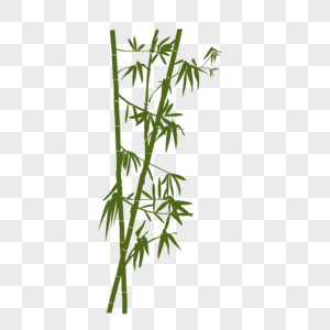 Flat Bamboo Vector Material Png Image Picture Free Download 300x300 Flat Bamboo Vector Material Png Image Picture Free Download