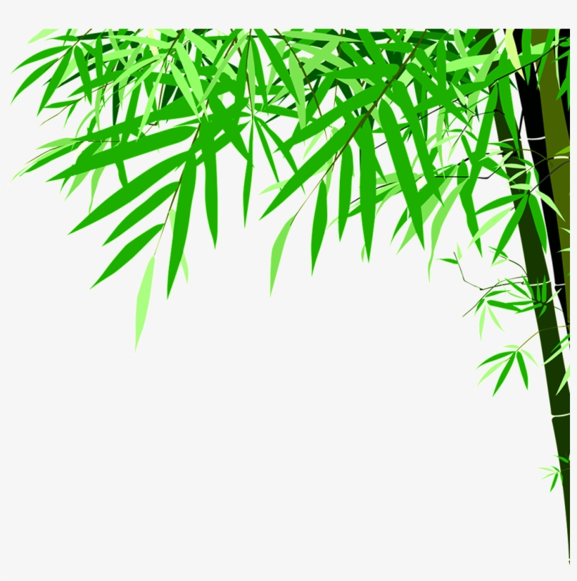 Green Bamboo High Definition Beauty Png 820x825 Green Bamboo High Definition Beauty Png