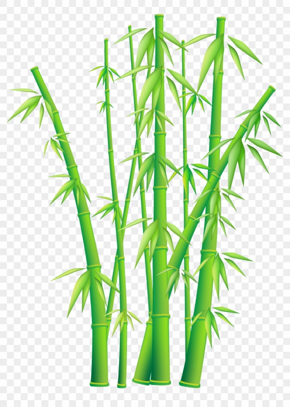 Mighznazgreen Grass Border Clipart Free Image Vector Bamboo Png 1008x1416 Mighznazgreen Grass Border Clipart Free Image Vector Bamboo Png
