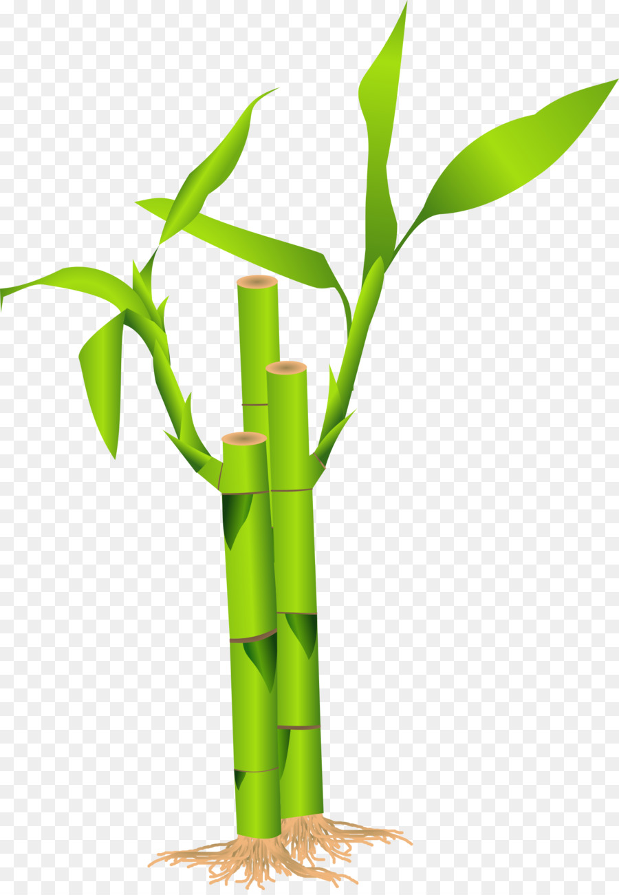 Bamboo Background Clipart 900x1300 Bamboo Background Clipart