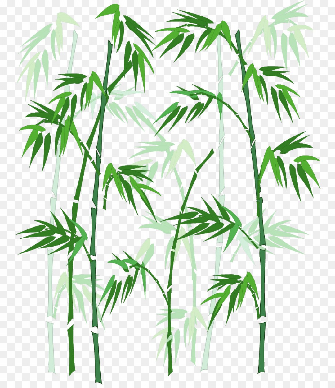 Векторное изображение бамбука