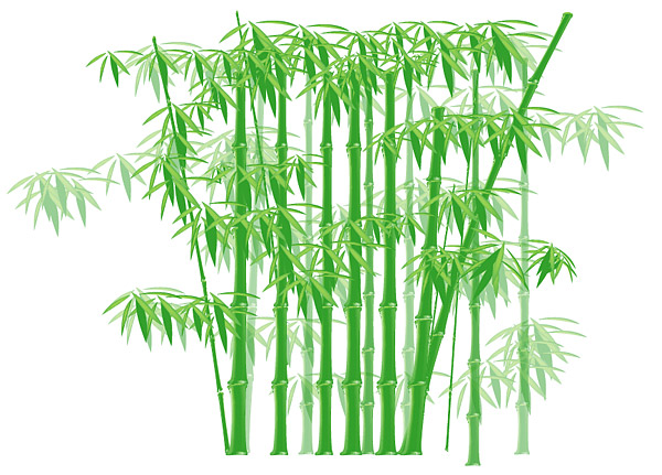 The Green Bamboo Vector Material Free Download 600x431 The Green Bamboo Vector Material Free Download