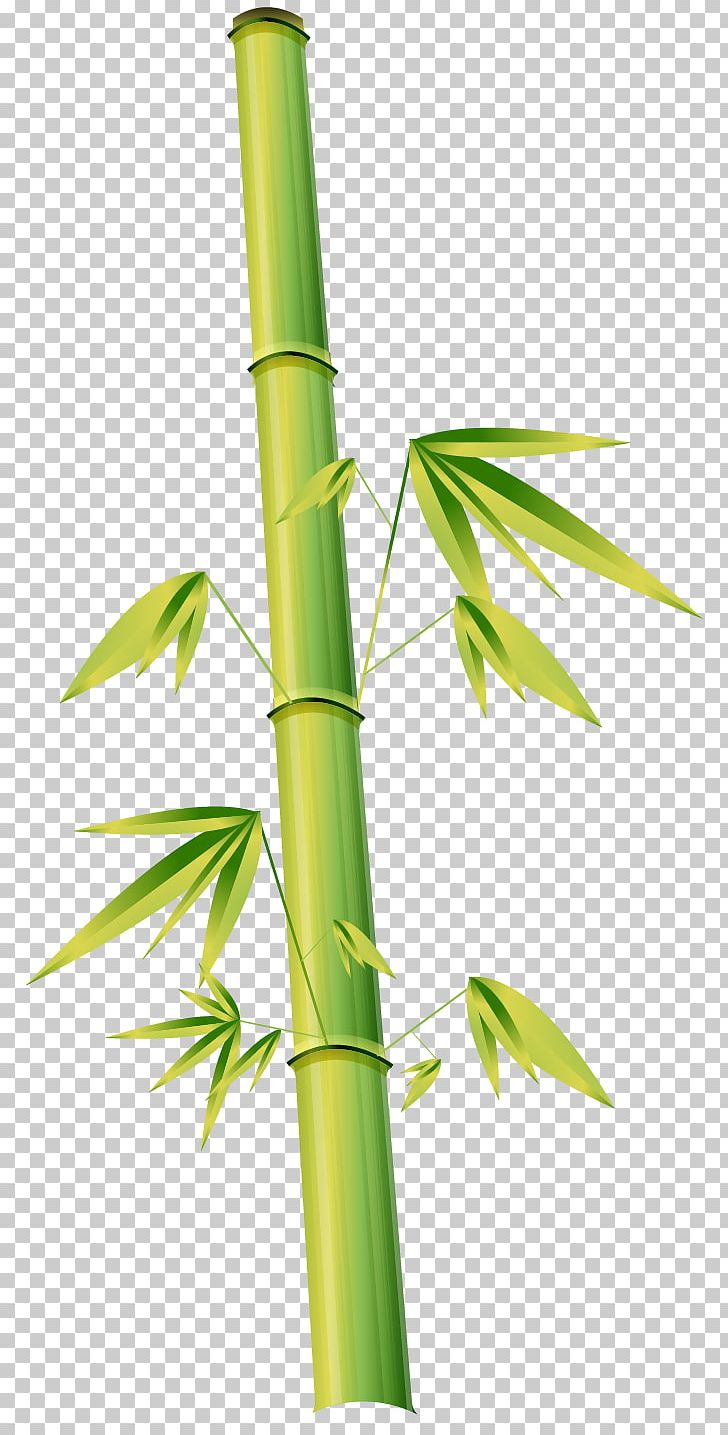 Bamboo Euclidean Cartoon Illustration Png, Clipart, Angle, Bamboo 728x1435 Bamboo Euclidean Cartoon Illustration Png, Clipart, Angle, Bamboo