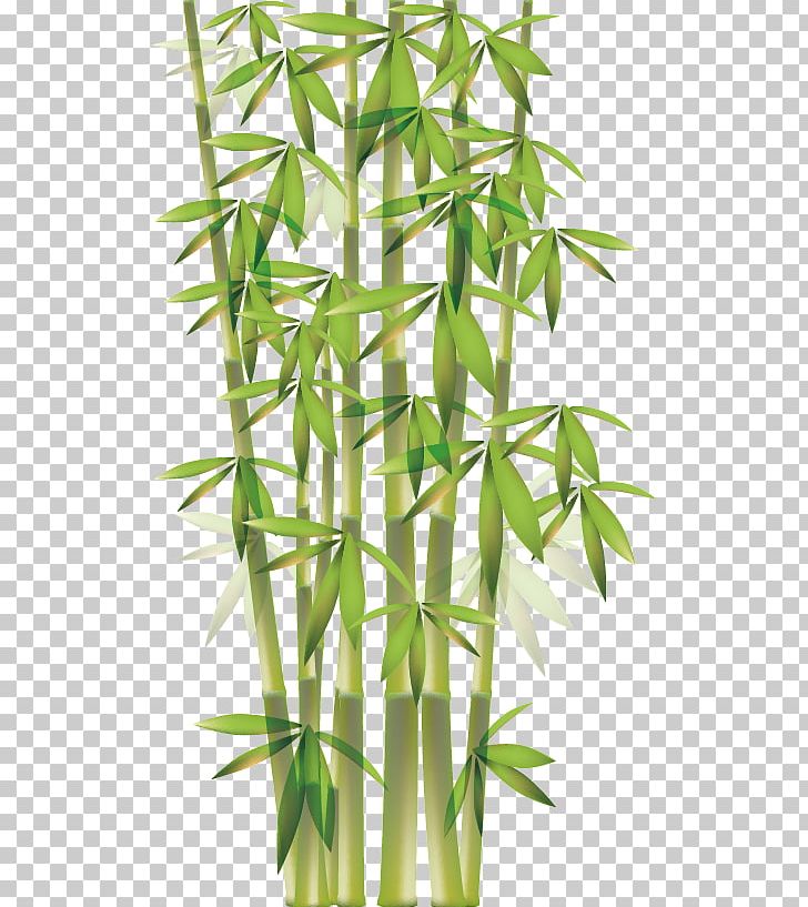 Bamboo Euclidean Png, Clipart, Angle, Bamboo Leaves, Bamboo Tree 728x817 Bamboo Euclidean Png, Clipart, Angle, Bamboo Leaves, Bamboo Tree