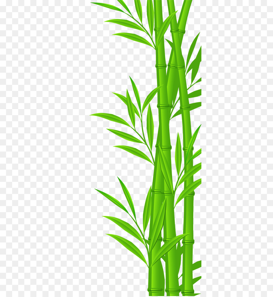 Bamboo Vector Png at Vectorified.com | Collection of Bamboo Vector Png ...