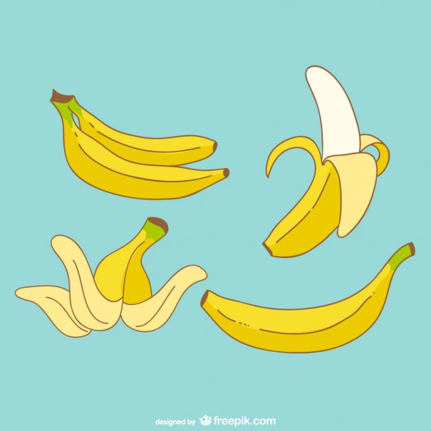 Banana Vector Free Download 626x626 Banana Vector Free Download