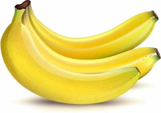 Banana Free Vector Download 524x368 Banana Free Vector Download