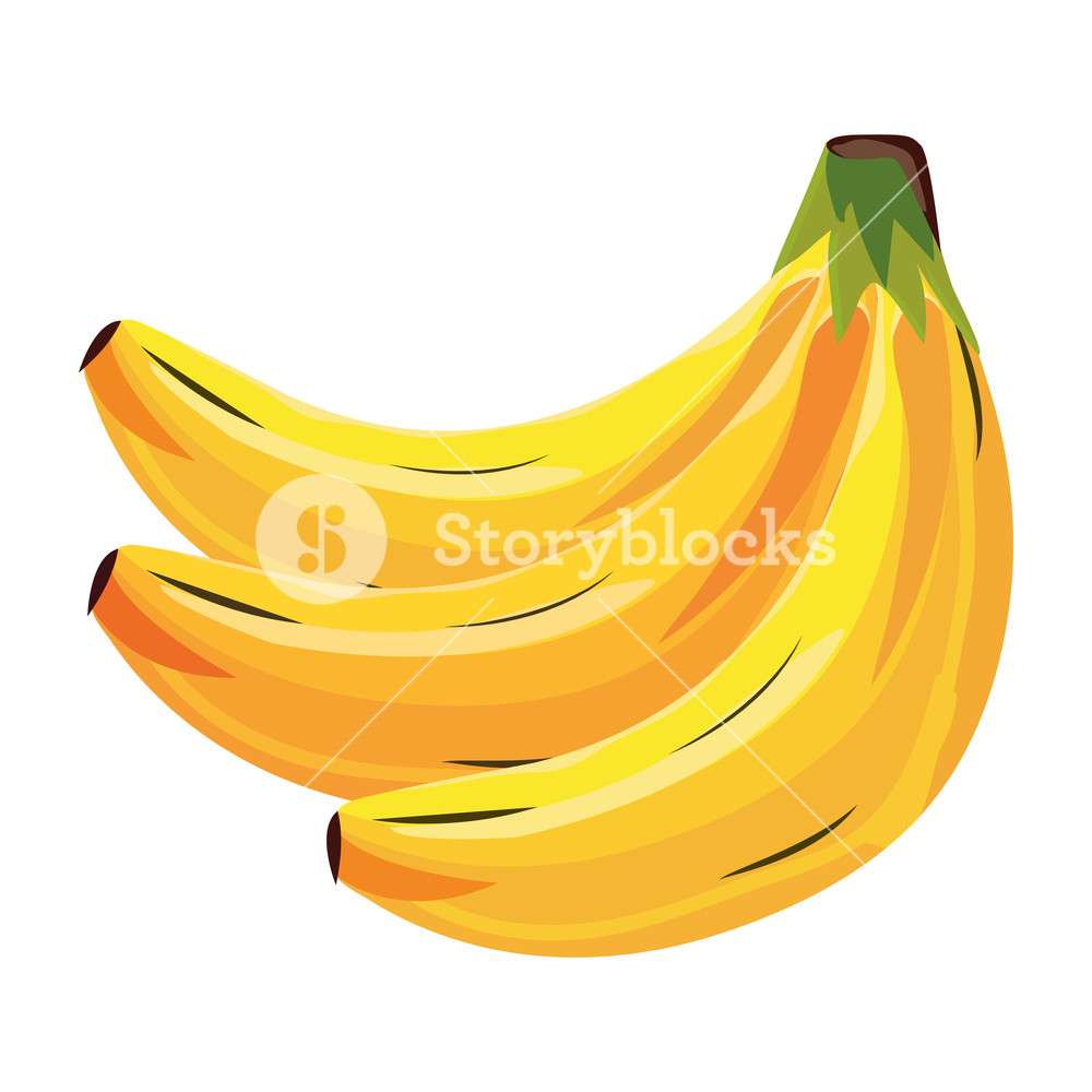 Tropical Fruit Banana Cartoon Vector Illustration Graphic Design 1000x1000 Tropical Fruit Banana Cartoon Vector Illustration Graphic Design