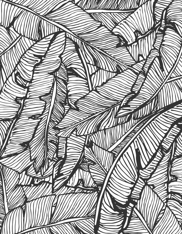 Seamless Pattern Design With Hand Drawn Banana Leaves, Vector 700x900 Seamless Pattern Design With Hand Drawn Banana Leaves, Vector