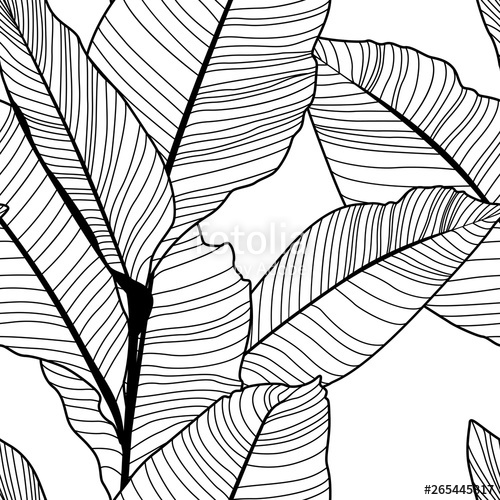 Tropical Jungle Banana Leaf Pattern, Black And White Stock Image 500x500 Tropical Jungle Banana Leaf Pattern, Black And White Stock Image