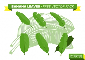285x200 Banana Leaves Vector Free Vector Graphic Art Free Download