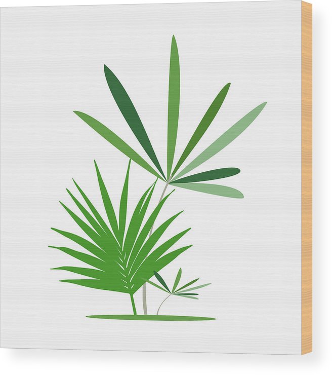 656x740 Green Exotic Leaves, Banana Leaf Vector Illustration Wood Print