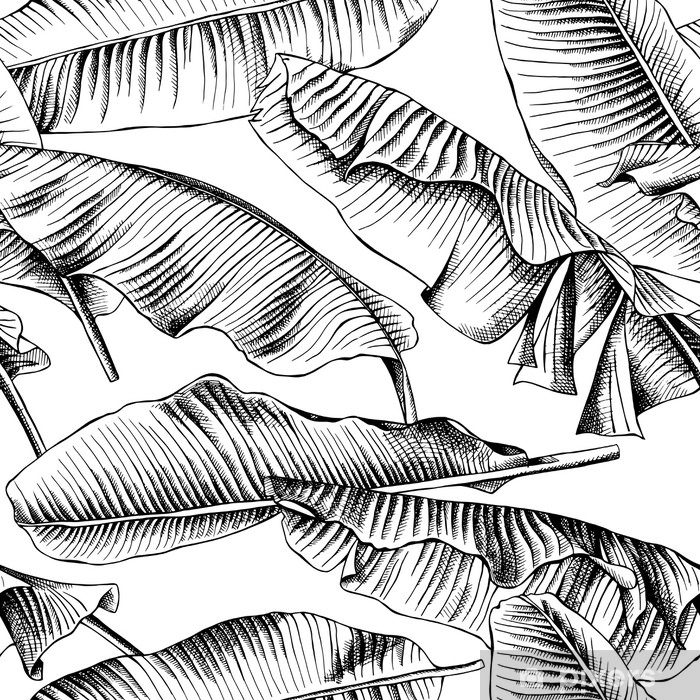 700x700 Seamless Pattern With Image Of A Banana Leaves Vector Black