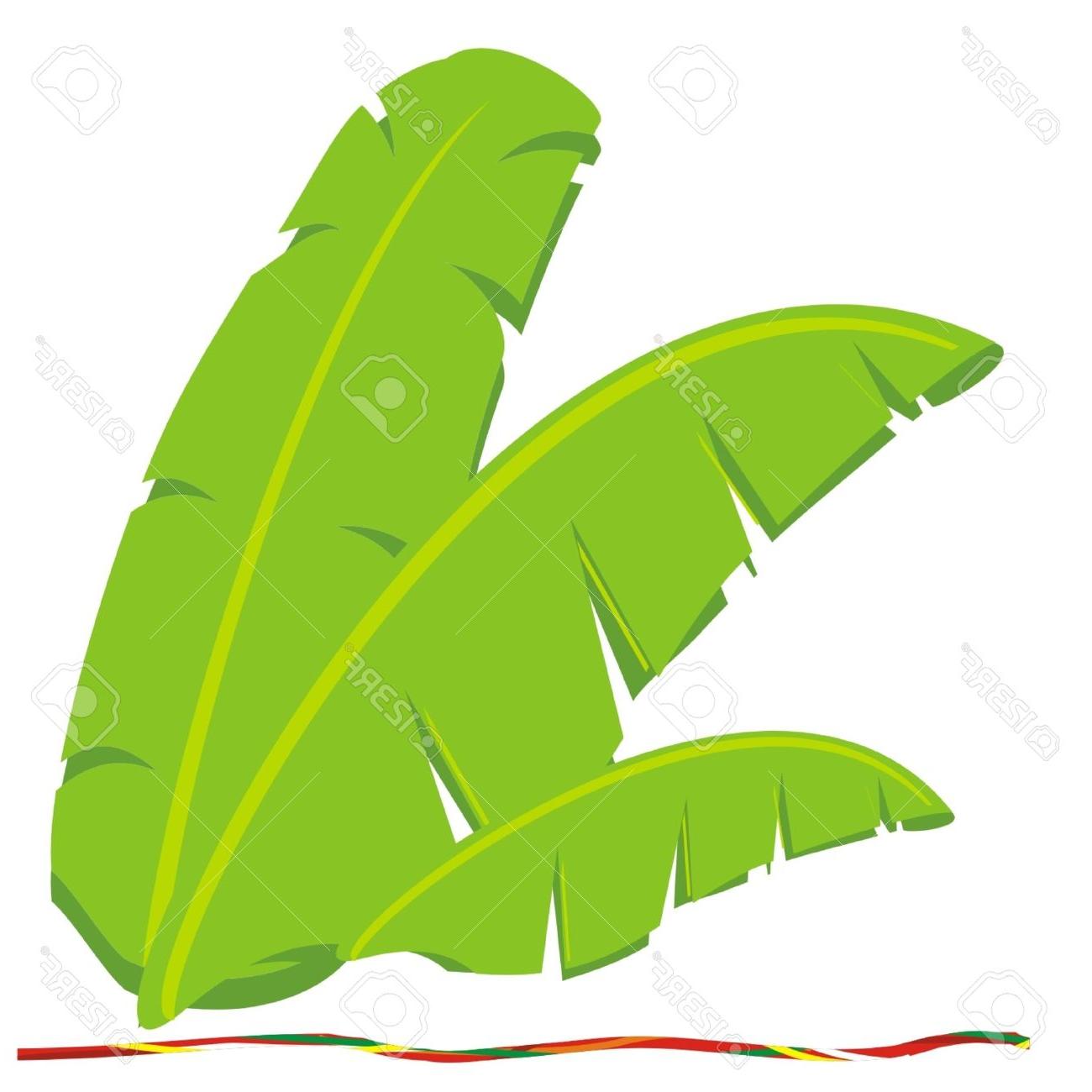 1300x1300 Top Banana Leaves Vector Images Free Vector Art, Images