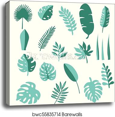 382x390 Tropical Leaves Vector Set Hand Drawn Icons Palm Leaf, Banana
