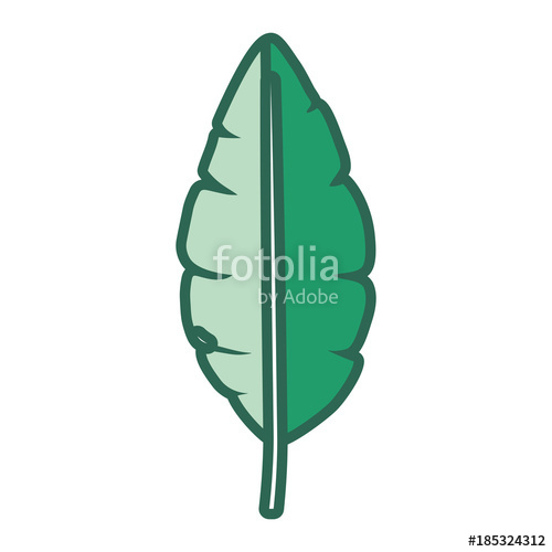 500x500 Banana Leaf Vector Illustration Stock Image And Royalty Free