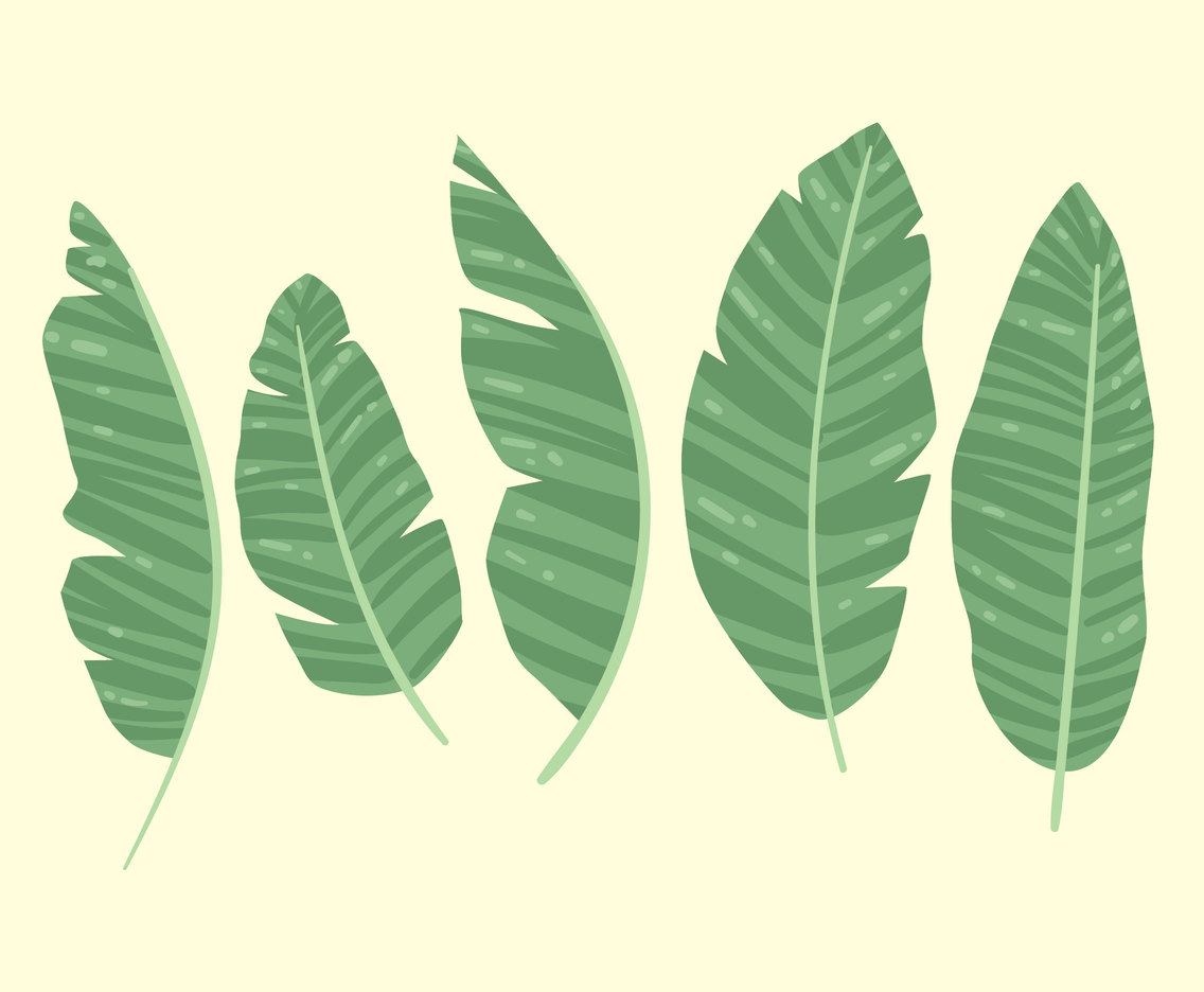 1136x936 Banana Leaves Collection Vector Vector Art Graphics