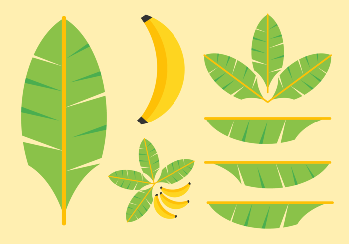 700x490 Banana Leaves Vector Pack