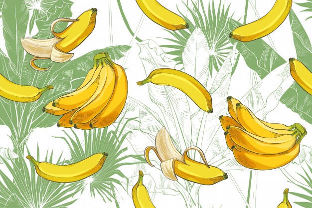 Banana Pattern Vector Vector Free Download 626x417 Banana Pattern Vector Vector Free Download