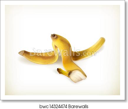 Banana Peel Vector, Art Print Barewalls Posters Prints 435x370 Banana Peel Vector, Art Print Barewalls Posters Prints