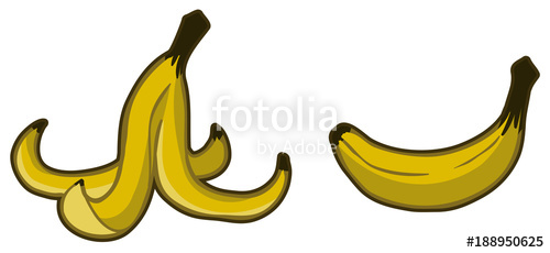 Banana Peel Cartoon Color Stock Image And Royalty Free Vector 500x230 Banana Peel Cartoon Color Stock Image And Royalty Free Vector
