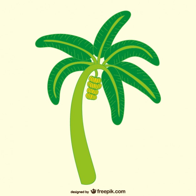 Banana Tree Vectors, Photos And Free Download 626x626 Banana Tree Vectors, Photos And Free Download