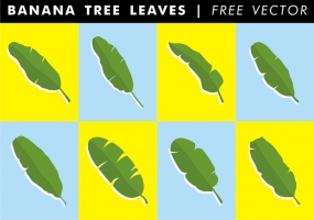 Banana Tree Free Vector Free Vector Graphic Art Free Download 285x200 Banana Tree Free Vector Free Vector Graphic Art Free Download