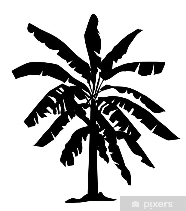 Banana Tree Silhouette Vector Wall Mural 619x700 Banana Tree Silhouette Vector Wall Mural