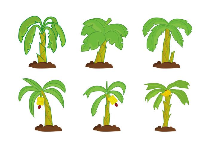 Banana Tree Vector Pack 700x490 Banana Tree Vector Pack
