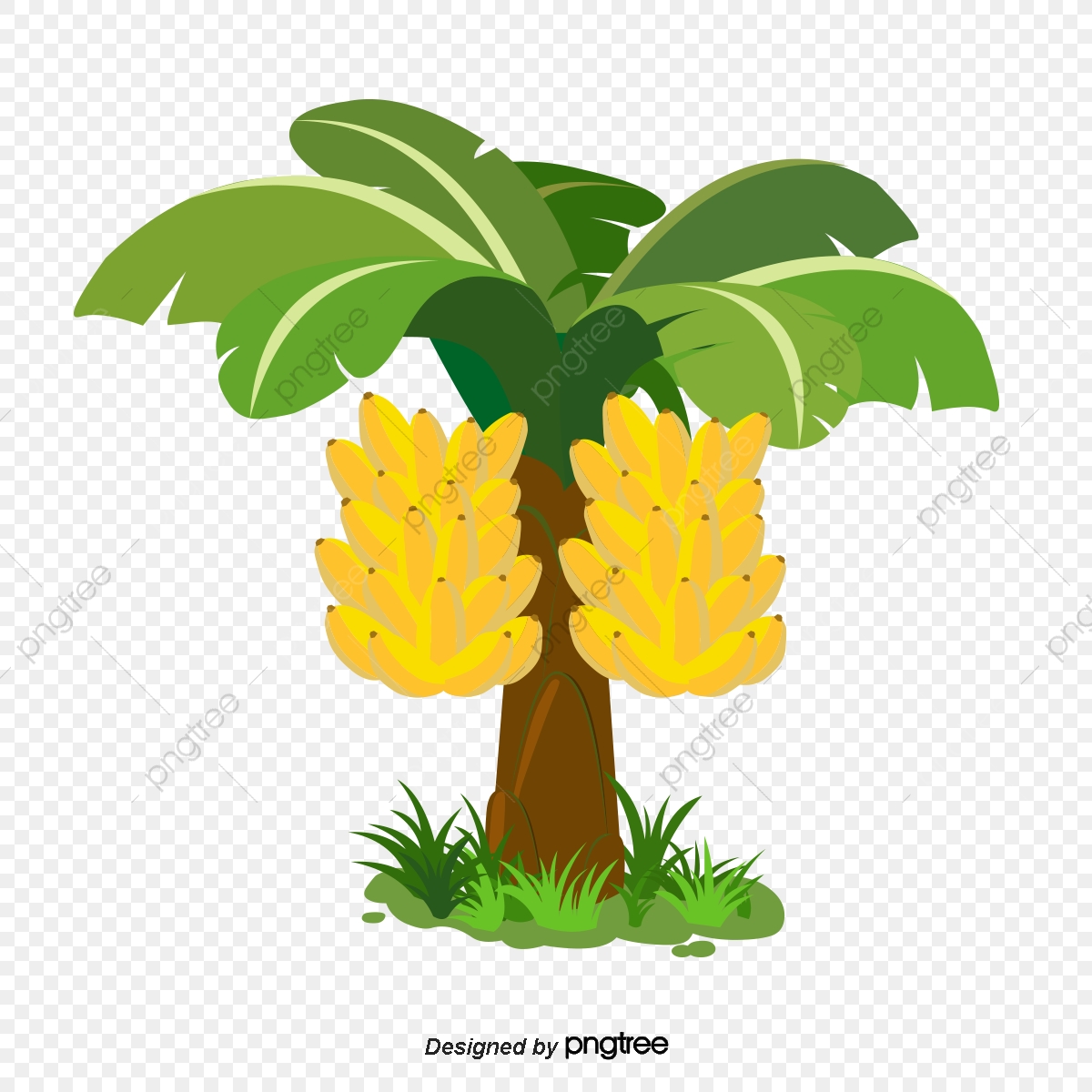 Design Of Hand Drawn Vector Map Of Banana Tree, Leaf, Grass, Tree 1200x1200 Design Of Hand Drawn Vector Map Of Banana Tree, Leaf, Grass, Tree